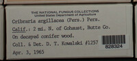 Image Associated With the Occurence
